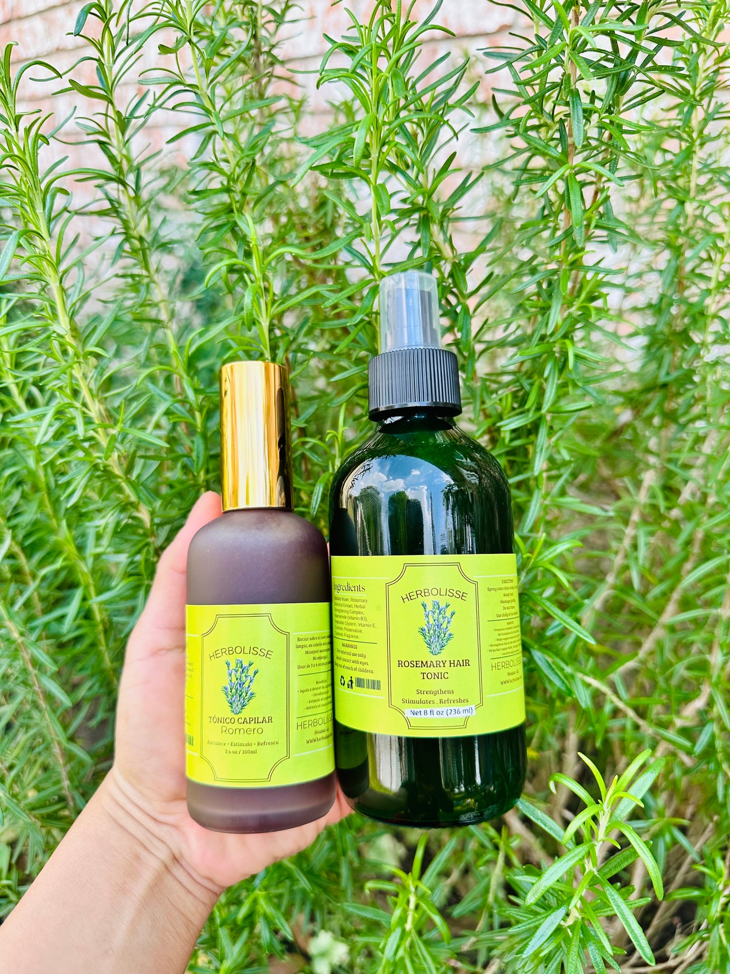 ROSEMARY SCALP TONIC — ROOT STRENGTH & GROWTH SUPPORT 🌿