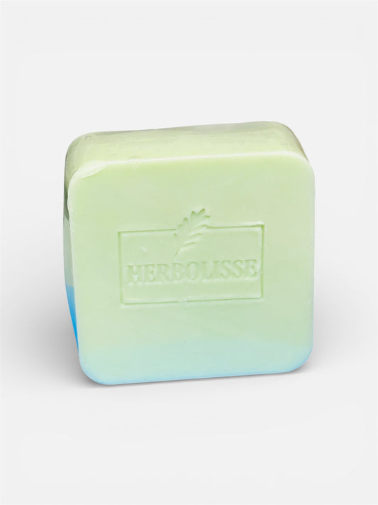 HERBOLISSE Botanical Nourishing Solid Conditioner Bar